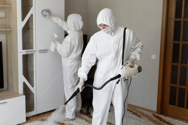 Affordable Infectious Disease Decontamination solutions in Forestdale, MA